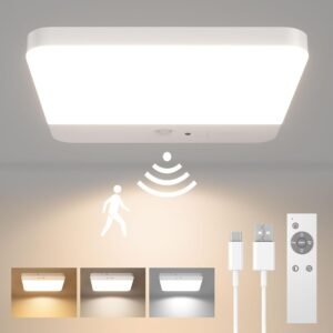 Ceiling Light Motion Sensor