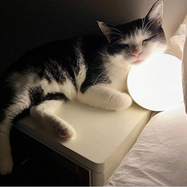 Smart Table Lamp, Dimmable Desk Lamp with App/Voice Control - Image 4