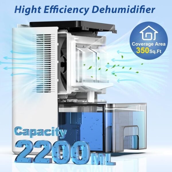 Home with Auto Defrost Function,2 Working Modes,Ultra Quiet Dehumidifier for Drying Clothes,Bathroom - Image 7