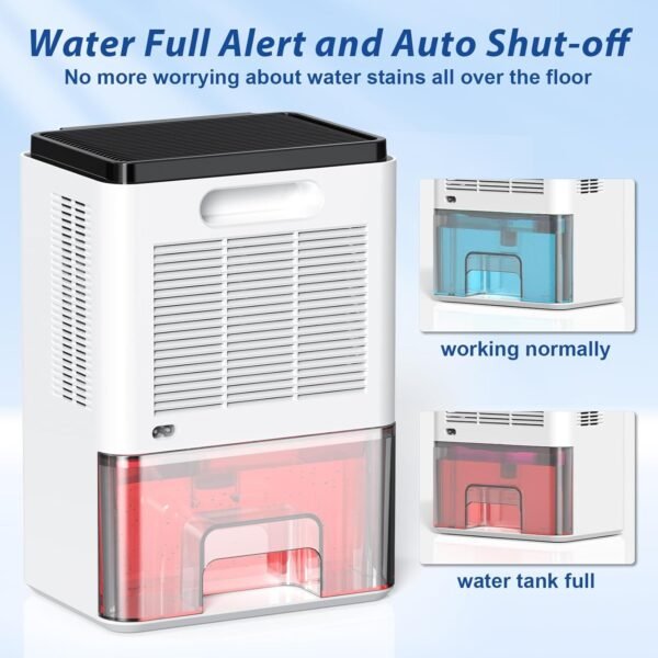 Home with Auto Defrost Function,2 Working Modes,Ultra Quiet Dehumidifier for Drying Clothes,Bathroom - Image 5