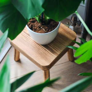 Small Wooden Stool, Plant Stand Indoor Step or Kids Stool - Ideal as a Small Side Table for House Plants