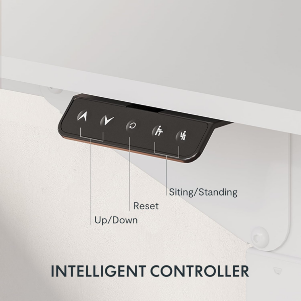4 Legs Dual Motors Electric Standing Desk 160 * 75cm Height Adjustable Desk with Splice Board Home - Image 2