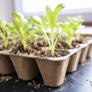 120 Cells Seed Starter Tray,10 Packs Biodegradable Seedling Pots Germination Trays