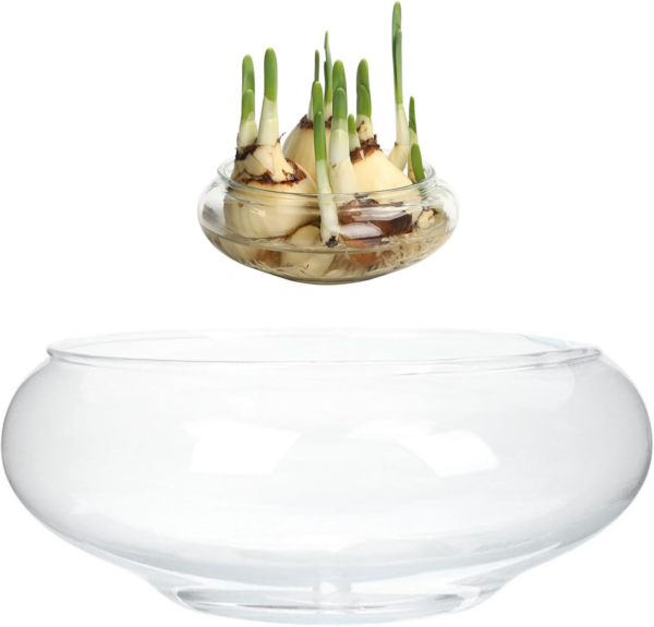 Bowl Planter, 6 Inch Round Lotus Flower Bowl, Clear Water Lily Bowl, Decorative Glass Bowl for Flower Succulent Hydroponic Plant Fish Home Decor - Image 5