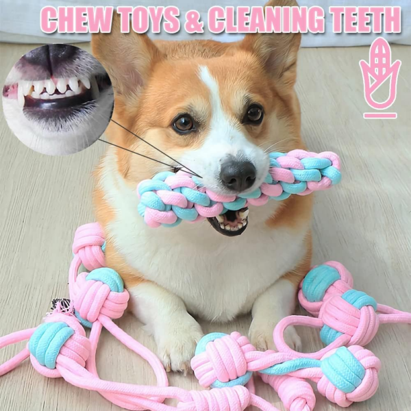 7Pcs Dog Rope Toys for Small Dogs, Puppy Rope Toys From 8 Weeks Small Dog, Puppy Chew Toys Natural Cotton Dog (Copy) - Image 4