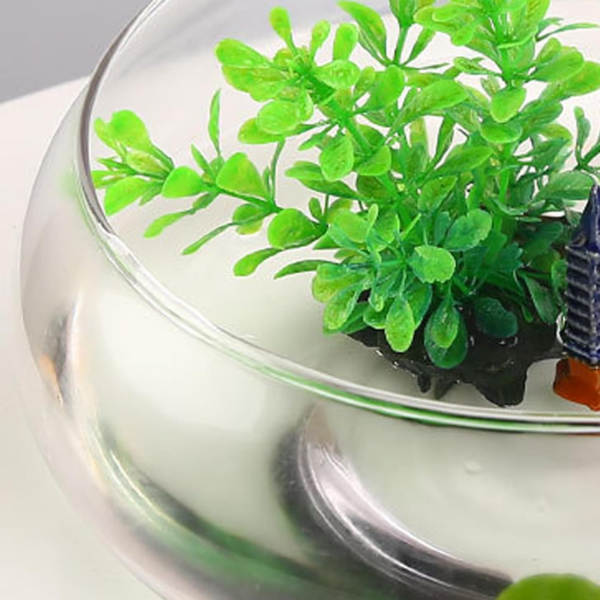 Bowl Planter, 6 Inch Round Lotus Flower Bowl, Clear Water Lily Bowl, Decorative Glass Bowl for Flower Succulent Hydroponic Plant Fish Home Decor - Image 2