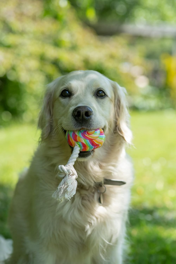 Retro Lilly the Lollipop Rope Plush Toy - Image 2