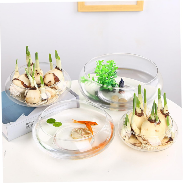 Bowl Planter, 6 Inch Round Lotus Flower Bowl, Clear Water Lily Bowl, Decorative Glass Bowl for Flower Succulent Hydroponic Plant Fish Home Decor - Image 6