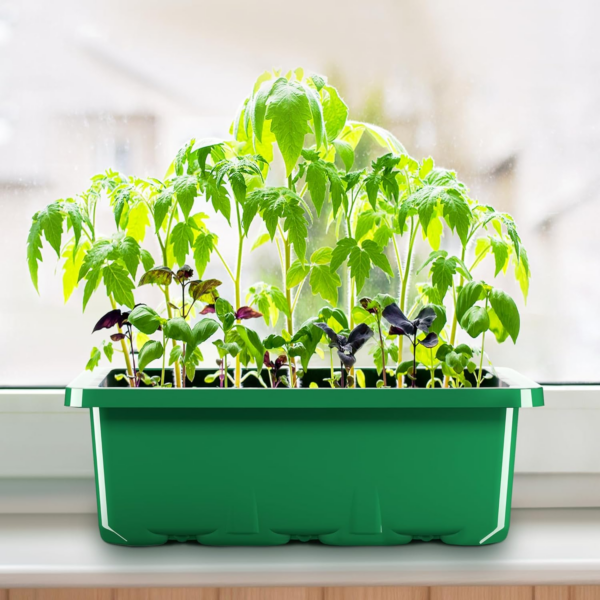 Seed Trays, 10 Pack 120 Cells Seed Trays for Seedlings Reusable Seed Trays with Lids Propagator Tray Growing Starter Tray - Image 3