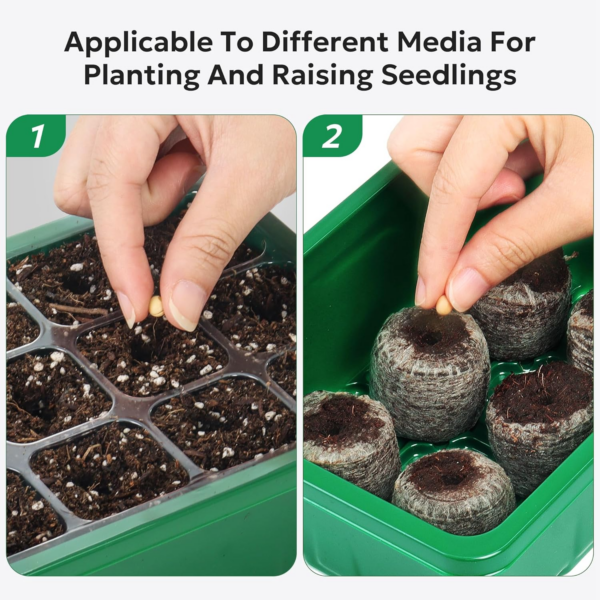 Seed Trays, 10 Pack 120 Cells Seed Trays for Seedlings Reusable Seed Trays with Lids Propagator Tray Growing Starter Tray - Image 4