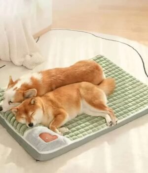 Orthopedic Dog Bed – Memory Foam, Washable Cover