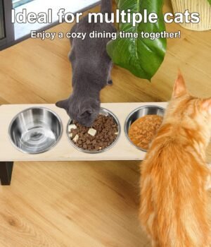 Elevated Cat Feeder – 15° Tilt, 3 Steel Bowls