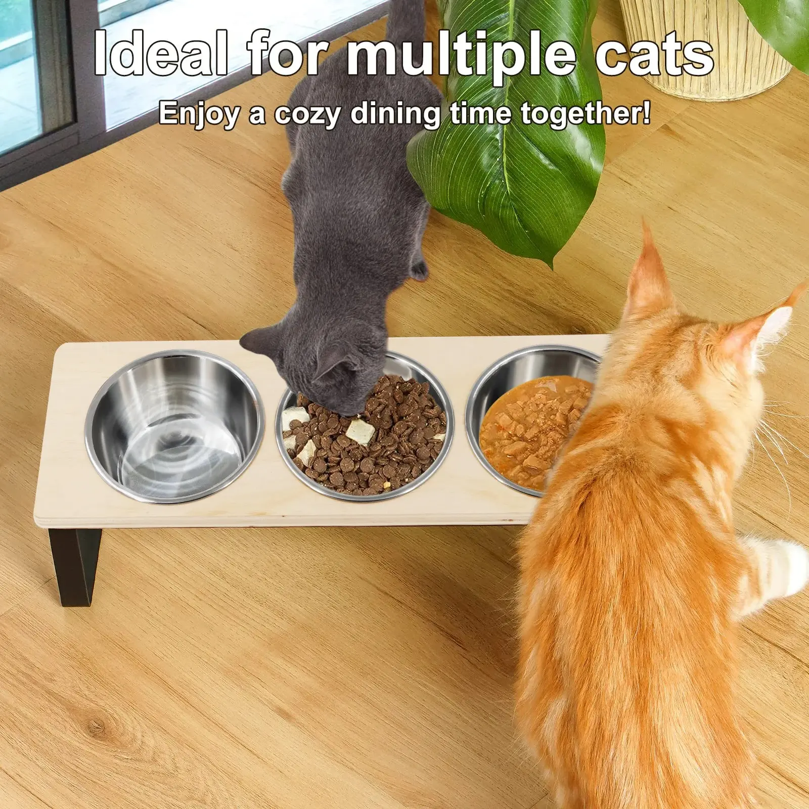 Elevated Cat Feeder – 15° Tilt, 3 Steel Bowls