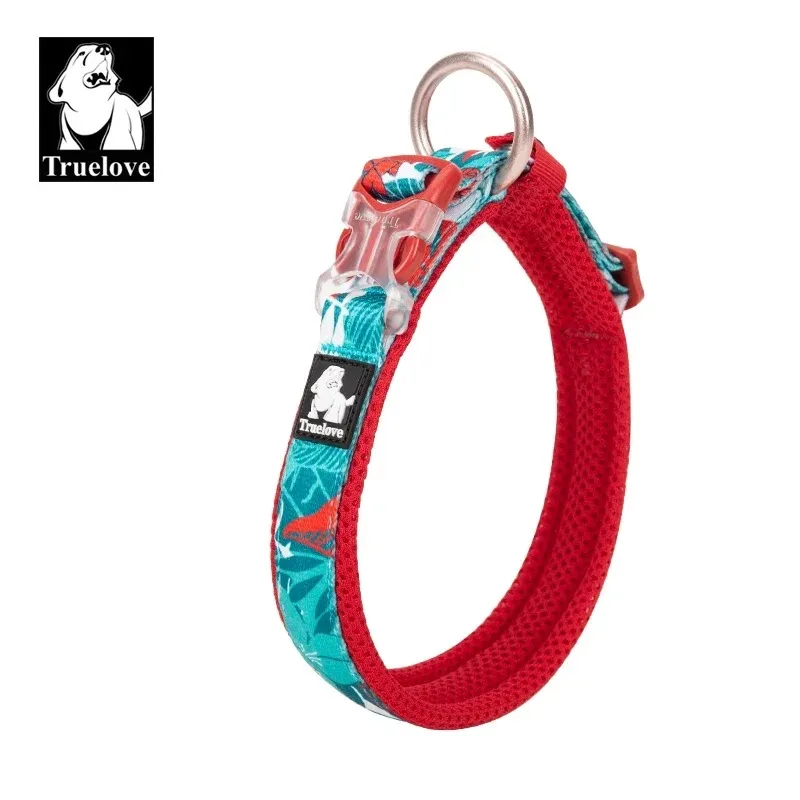 Truelove Floral Dog Collar – Padded, All Sizes - Image 9