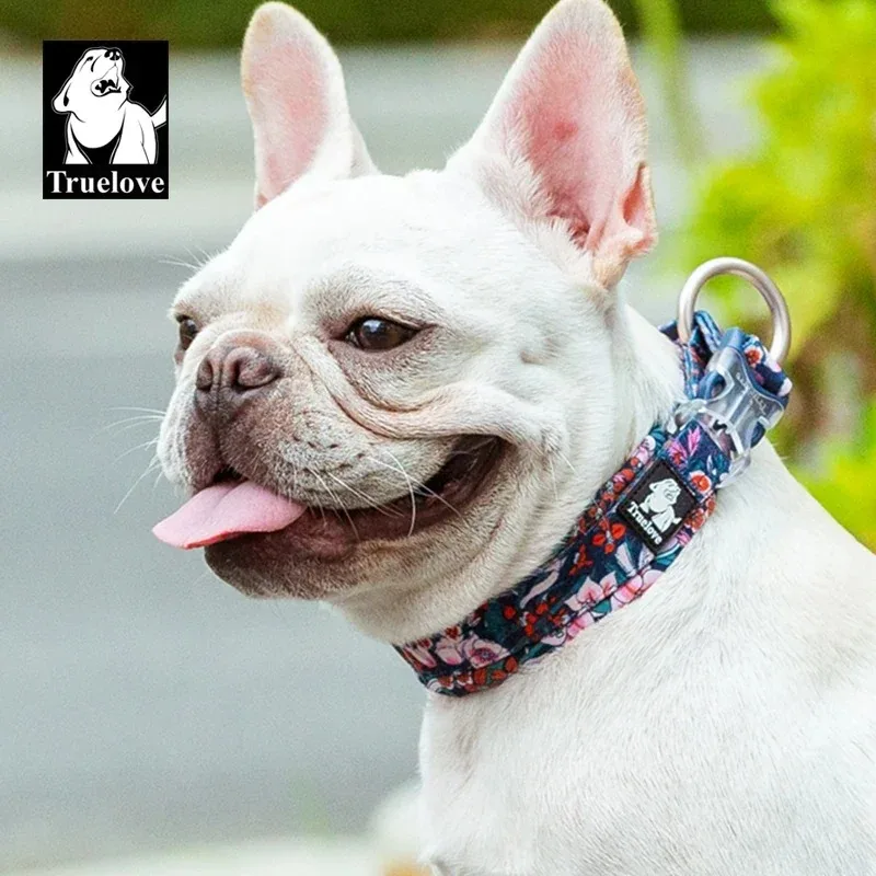Truelove Floral Dog Collar – Padded, All Sizes - Image 2