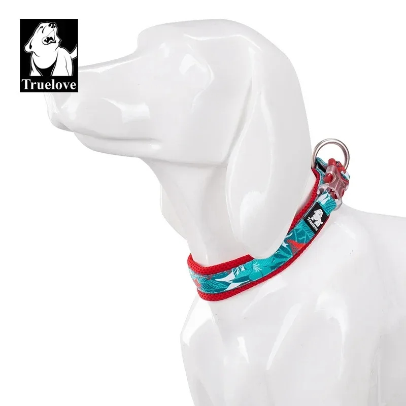 Truelove Floral Dog Collar – Padded, All Sizes - Image 6
