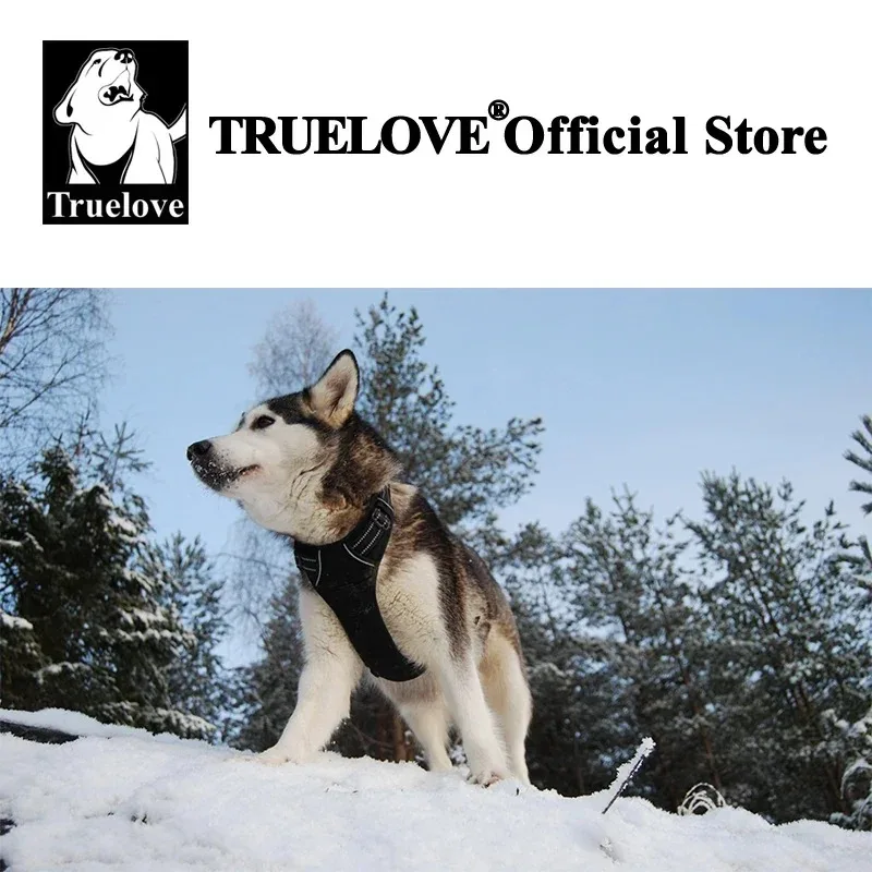 Truelove All-Weather Reflective Dog Harness – Nylon, Padded & Adjustable - Image 7
