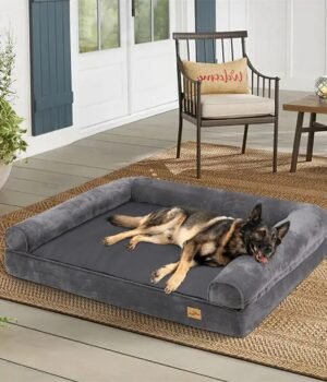 XL Orthopedic Dog Bed – Foam Cushion, Washable Cover